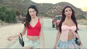 Adira Allure Picked up Busty Shemales Andylynn Payne and Avery Lust